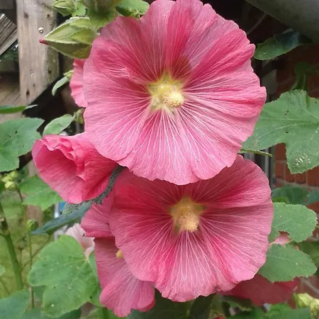 Apartment Alter Dorfkrug 1
